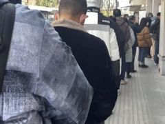 -邓氏兔头