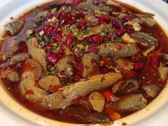-情妹耙泥鳅·江湖川菜(科华店)