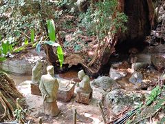 -七仙岭温泉国家森林公园