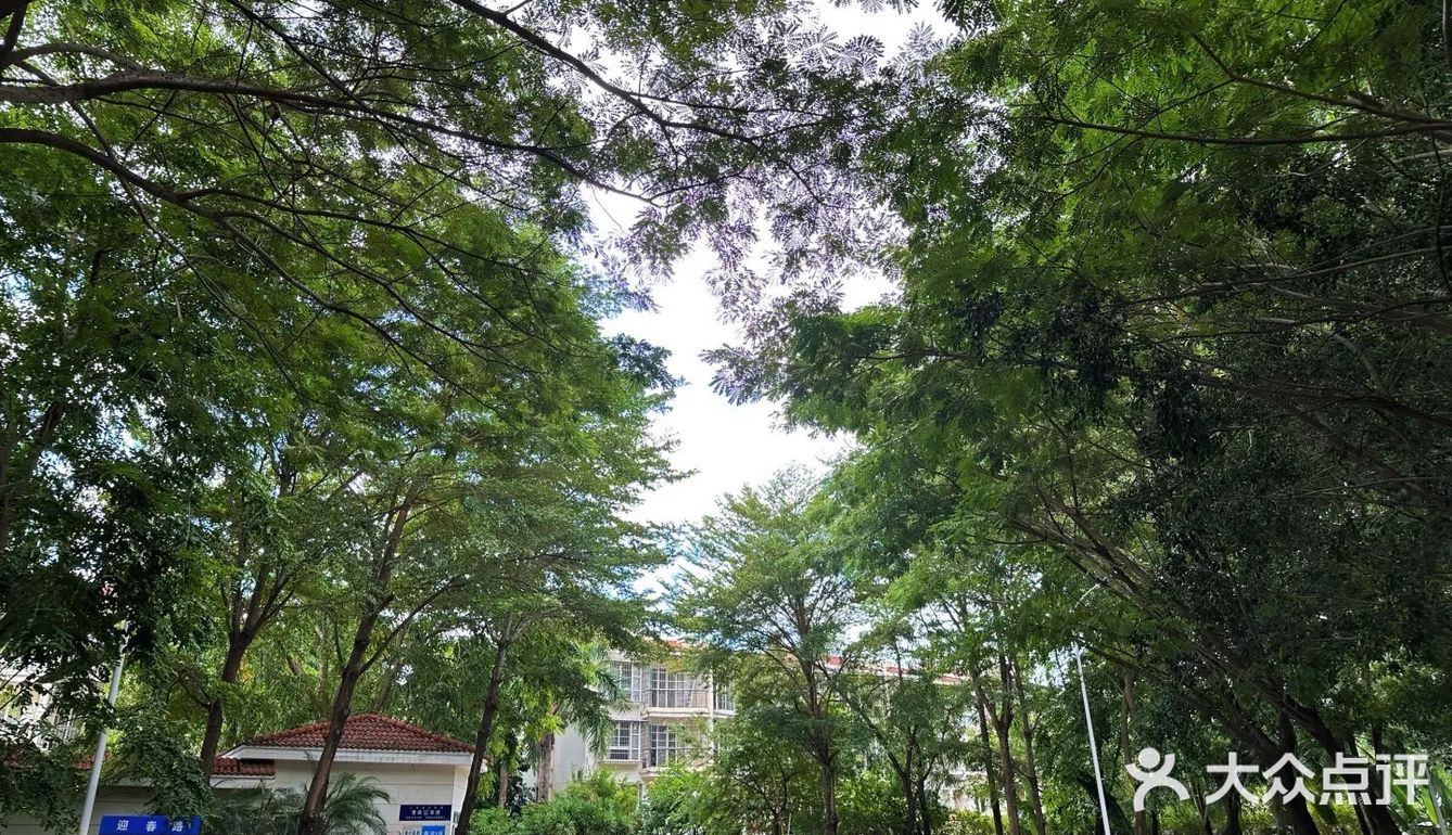 在三亚慢悠悠喝一杯咖啡 好惬意🥱