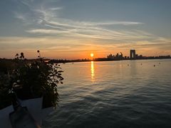 -金鸡湖景区