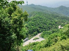 -梧桐山风景名胜区