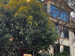 -椿杨樘·明康泡浴养生馆(重庆店)