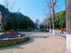 -苏州河梦清园环保主题公园