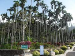 -金鸡岭桥头公园