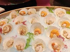 -咖啡苑 - 蔚藍夏日主题(永利皇宫店)