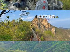 -大岭沟猕猴桃谷风景区