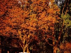 -宁波儿童公园(鄞州区)