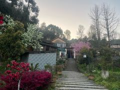 -铁山坪森林公园