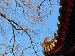 -贤良祠