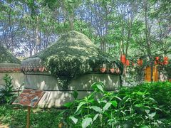 -草根堂农场