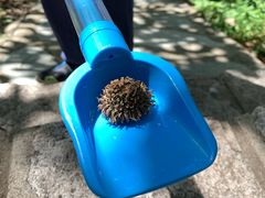 -北京宽沟会议中心