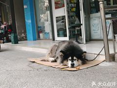 -百友顺涮肉城(故城东路店)
