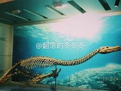 -自贡恐龙博物馆