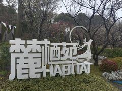 -灵谷景区