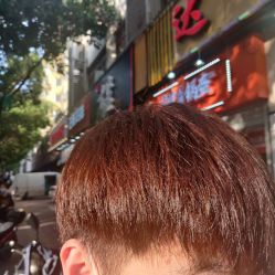-可可丽舍