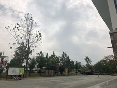 -东湖落雁景区