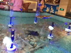 -水晶之星洗浴温泉汗蒸