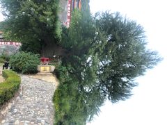 -遵化市禅林寺古银杏风景园