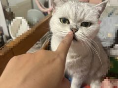 -簋街