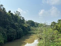 -南宁良凤江国家森林公园