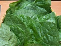 -巴奴毛肚火锅(龙湖锦艺城店)