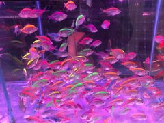 -三旗百汇商品城