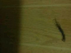 -海友酒店(上海静安寺店)