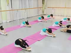 -舞蕾舞蹈·专注中国舞18年(天通苑中心校区)