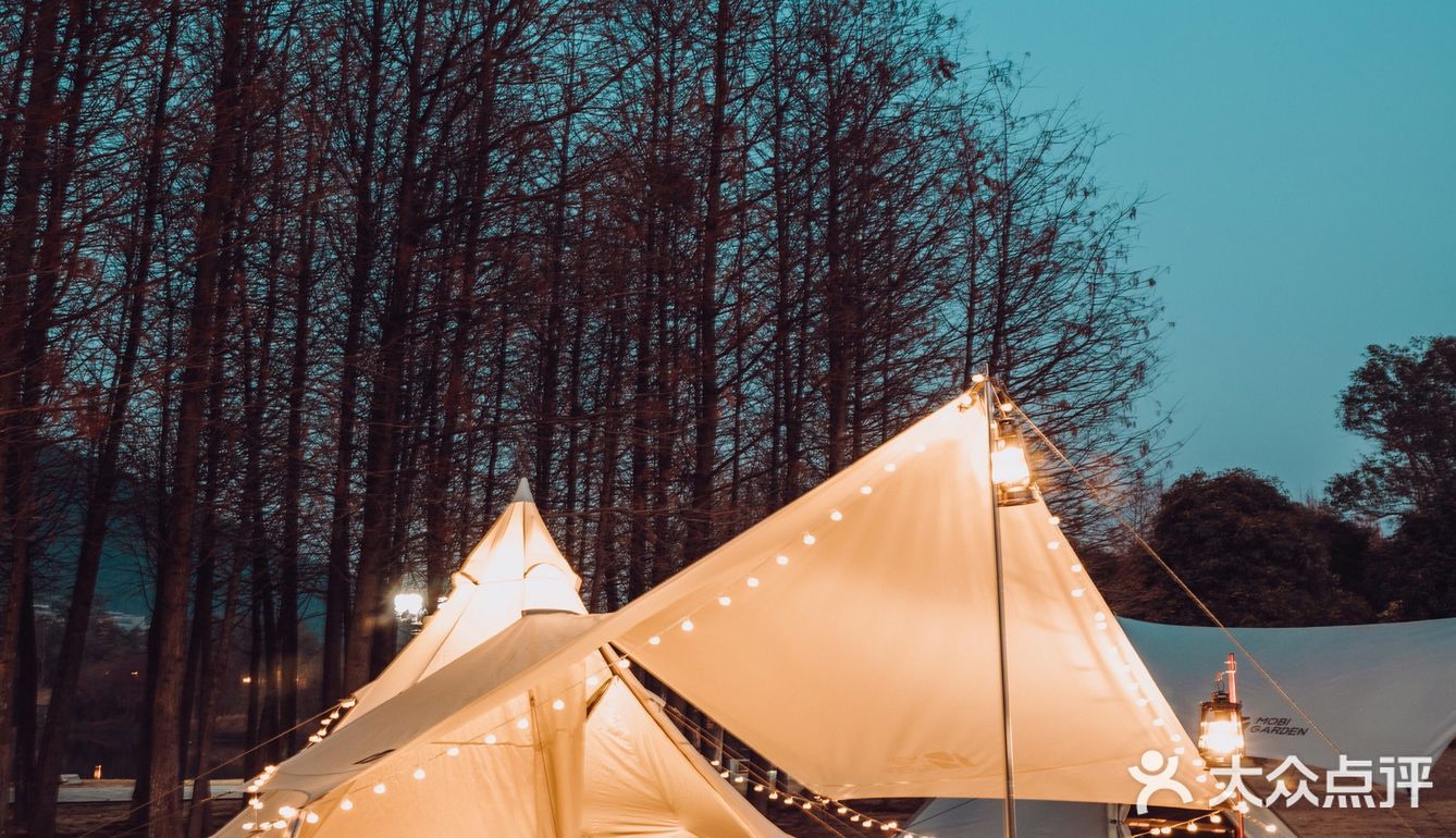 广州周边露营｜杉树林Glamping