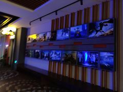 -万达影城(双流万达广场CINITY店)