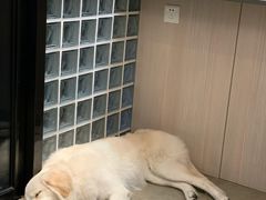 -尤加利咖啡馆