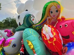 -长白岛森林公园