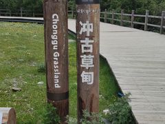 -稻城亚丁景区-冲古草甸