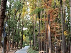 -东湖落雁景区