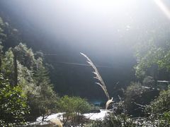 -楠溪江石桅岩