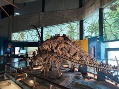 -湖南省地质博物馆