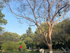 -菊花台公园