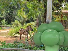 -海南热带野生动植物园