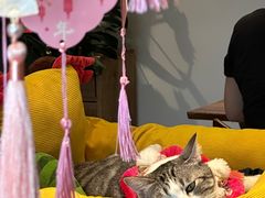 -echoes coffee回响咖啡(888街店)