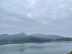 -酒仙湖景区