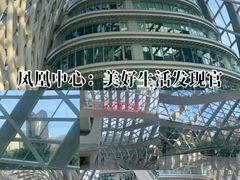 -凤凰中心