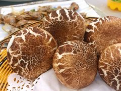 -新金盛·海鲜酒楼(盐田店)