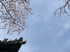 -碑林公园