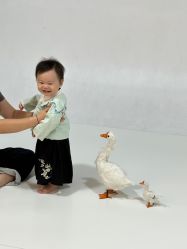 -墨飞私家婴童家庭映像馆(安吉万达店)