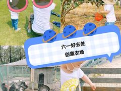 -前小桔亲子创意农场·草莓采摘·露营烧烤