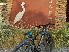 -东郊湿地公园