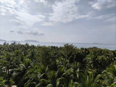 -三亚湾海居铂尔曼度假酒店