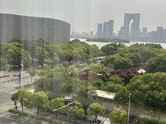 -苏州金鸡湖文博诺富特酒店