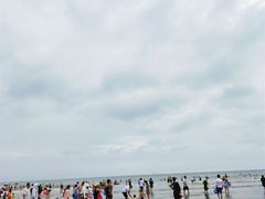 -日照海滨国家森林公园